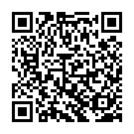 QR code for plate DJF 521