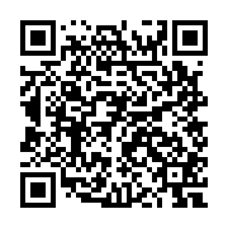QR code for plate DJG 101