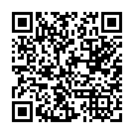 QR code for plate DJG 383