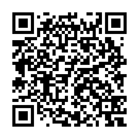 QR code for plate DJH 339