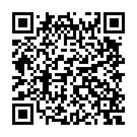 QR code for DJI 441