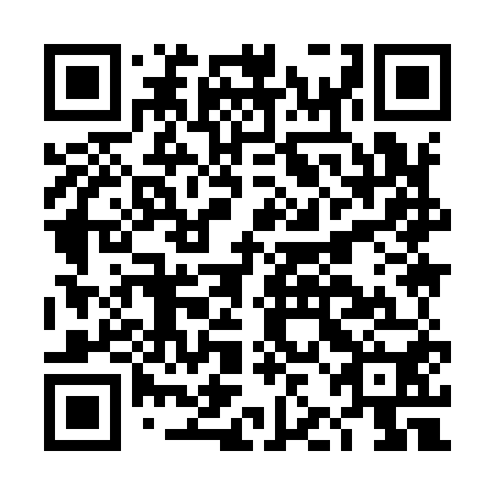 QR code for DJI 950