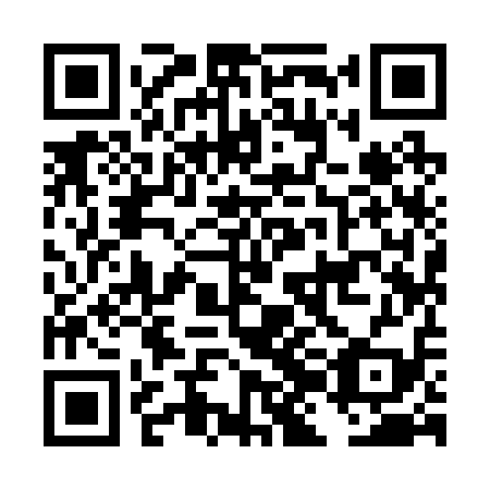 QR code for plate DJI 219