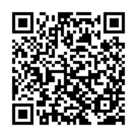 QR code for plate DJI 282