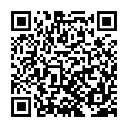 QR code for plate DJI 916