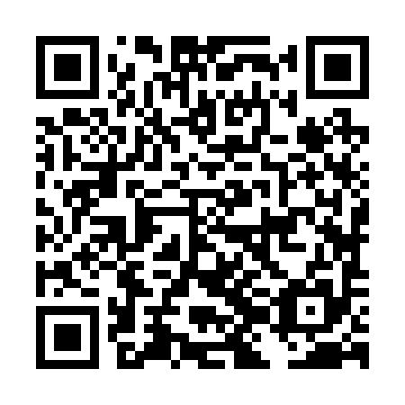 QR code for DJJ 295