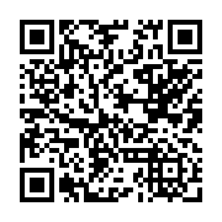 QR code for plate DJJ 219