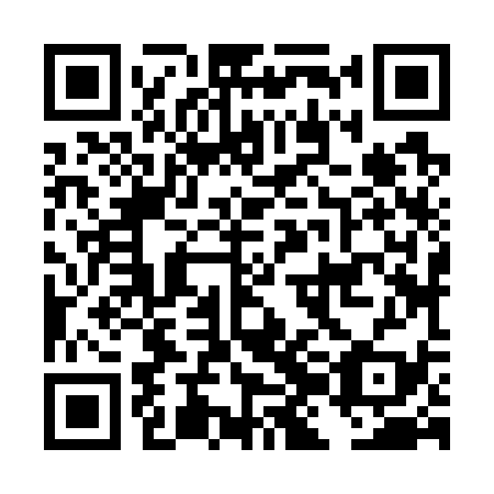 QR code for DJJ739
