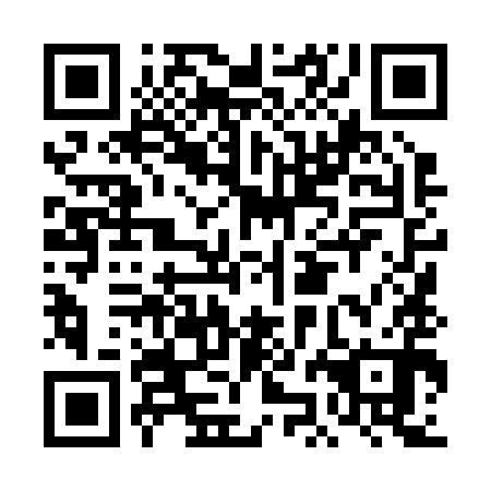 QR code for DJL 290