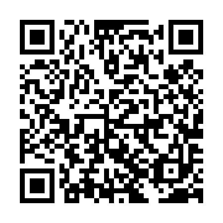 QR code for DJL 493