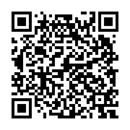 QR code for plate DJL 611