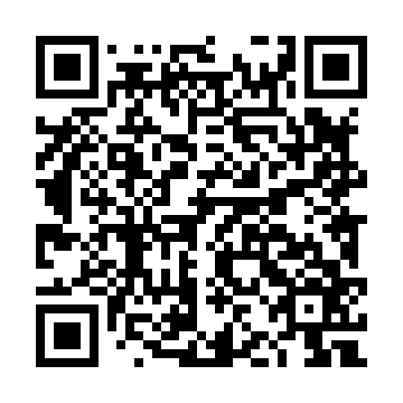 QR code for plate DJL 866