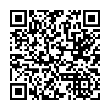 QR code for plate DJN 397