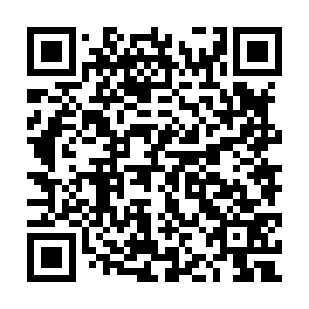 QR code for plate DJN 873