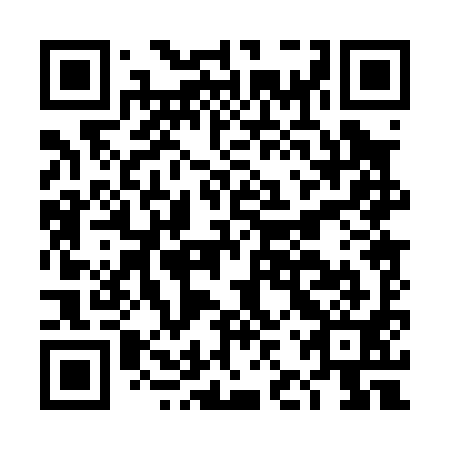 QR code for DJP 091