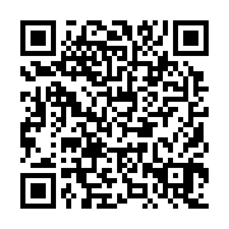QR code for plate DJQ 300