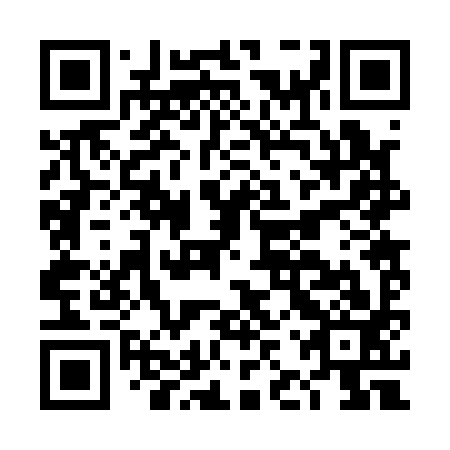 QR code for plate DJR 193