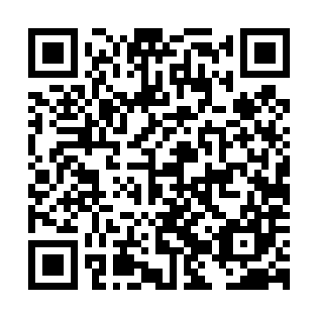 QR code for plate DJT 487