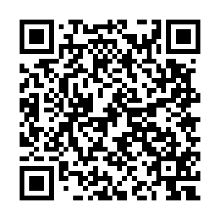 QR code for plate DJU 515