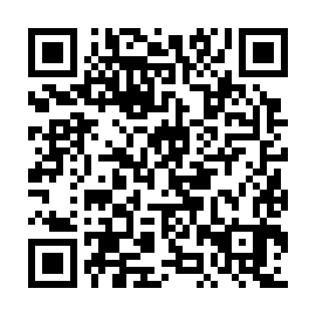 QR code for plate DJV 383