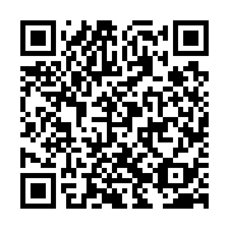 QR code for plate DJV 739