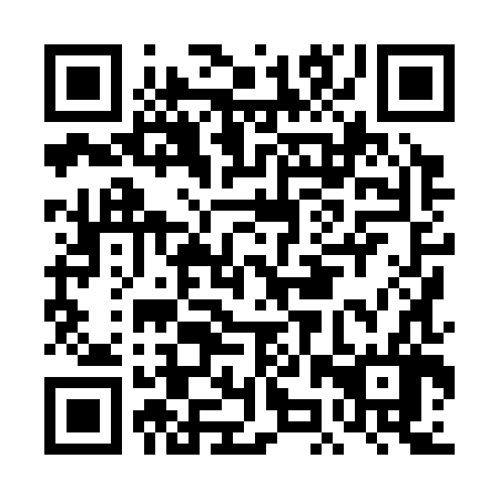 QR code for plate DJX 386
