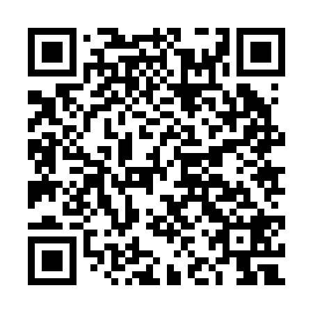 QR code for DJZ 228