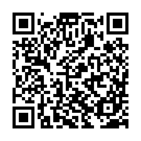 QR code for plate DJZ 287