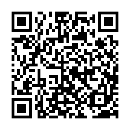 QR code for DK 0393