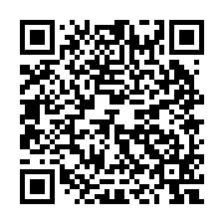 QR code for DK 1295