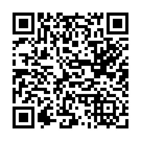 QR code for plate DK 1353