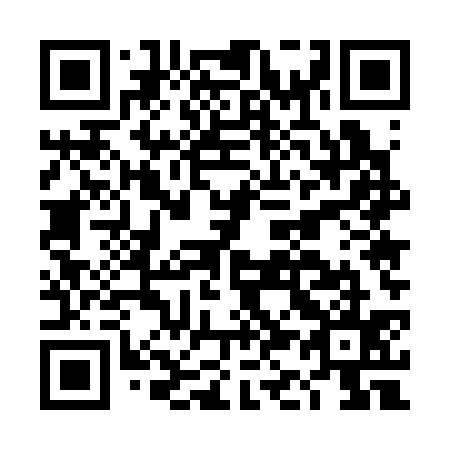 QR code for plate DK 5335