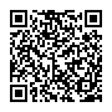 QR code for plate DKA 293