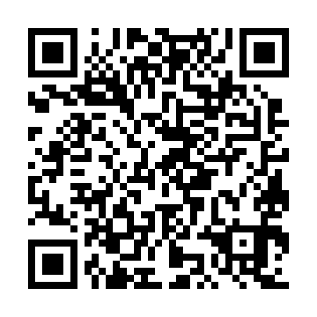 QR code for plate DKG 291
