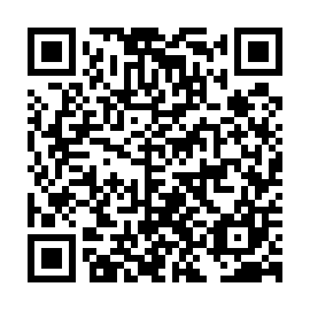 QR code for plate DKG 507
