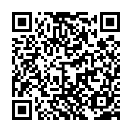 QR code for plate DKG 565