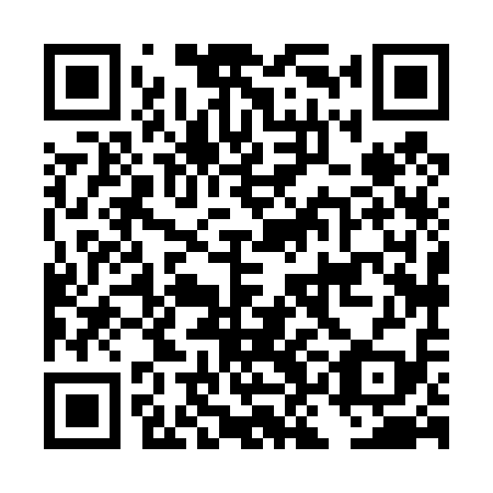 QR code for plate DKH 419
