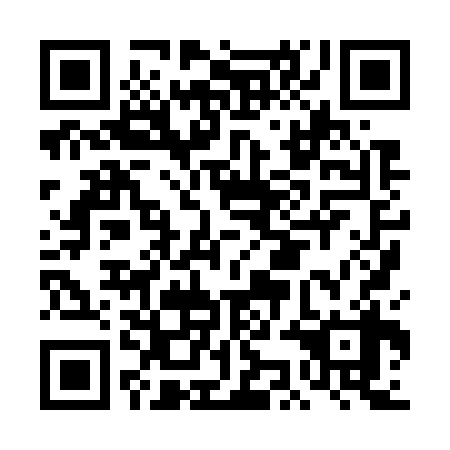 QR code for plate DKH 738