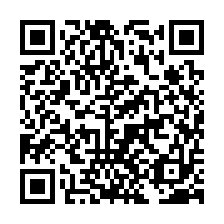 QR code for DKI 313