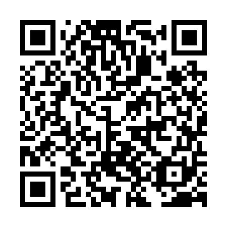 QR code for plate DKK 251
