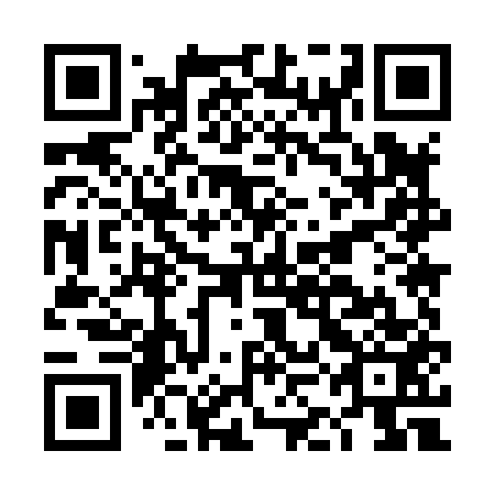 QR code for plate DKM 853
