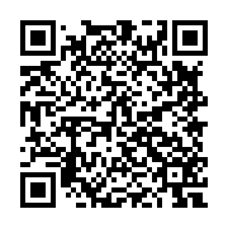 QR code for plate DKM 856