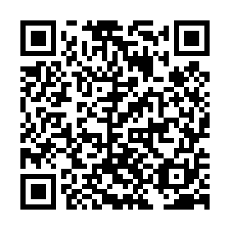 QR code for plate DKO 451