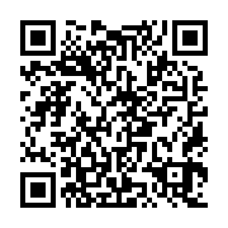 QR code for plate DKO 863