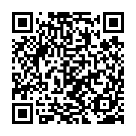 QR code for plate DKQ 650