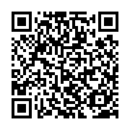 QR code for plate DKR 725