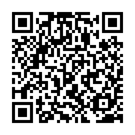 QR code for DKS 295