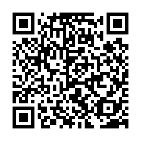 QR code for DKS 738