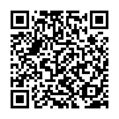 QR code for DKS 919
