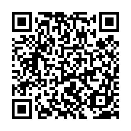 QR code for plate DKS 463